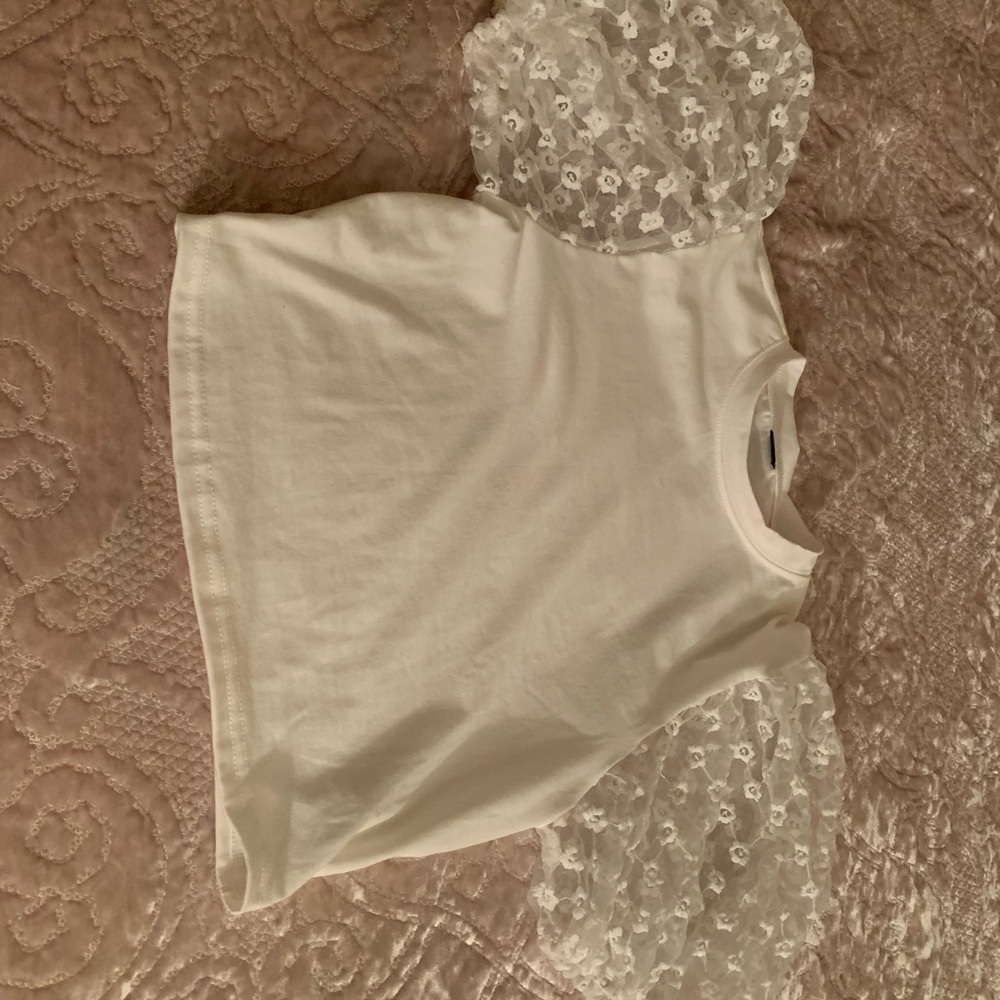 patterned sheer raglan sleeve top